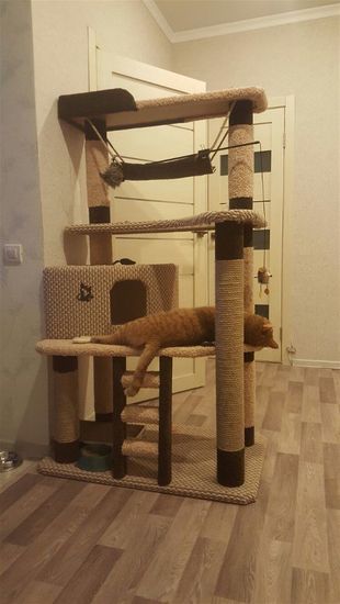 Дом для кота И-88 (мейн-кун)