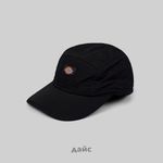 Кепка Dickies Fincastle Cap артикул:DK0A4YPCBLK1 - купить в магазине Дайс