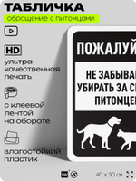 Табличка "Не забывайте убирать за своим питомцем" на дверь и забор, для двора, дома, подъезда, 40х30 см, Silver Plane x Айдентика Технолоджи