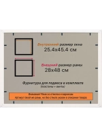 Рамка для постера и фотографий 25x45