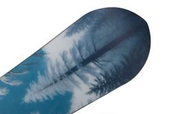 Сноуборд JOINT FOREST