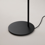 Напольный светильник (торшер) Maytoni MOD126FL-01B