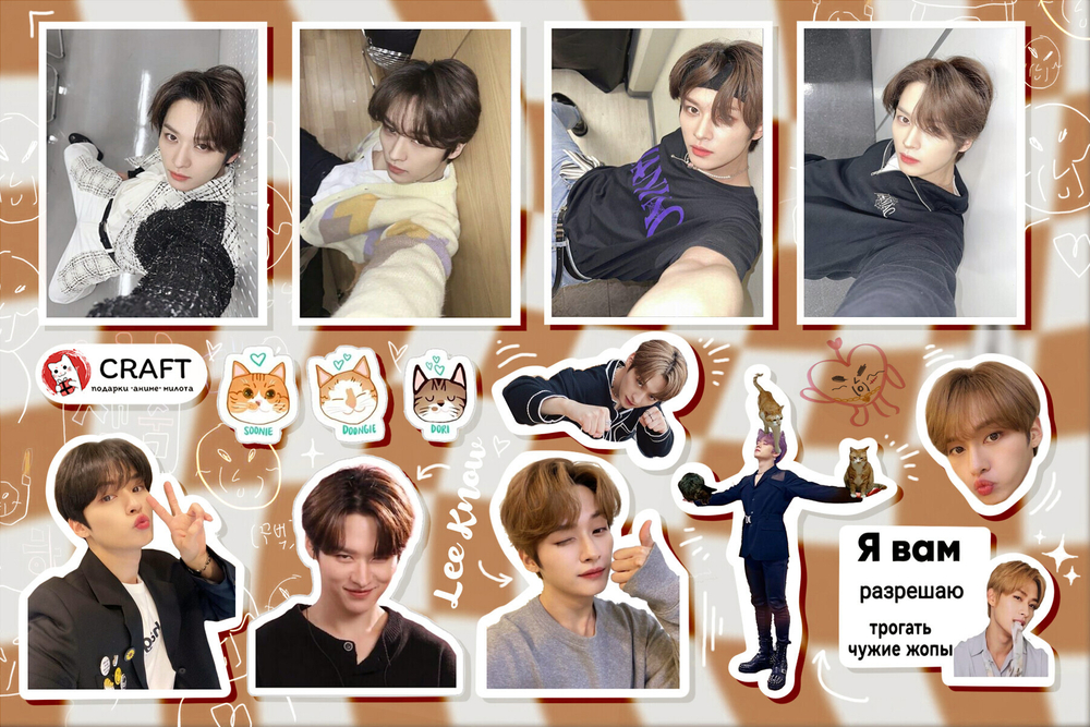 Стикерлист "Стрей Кидс / Stray Kids -  Минхо"