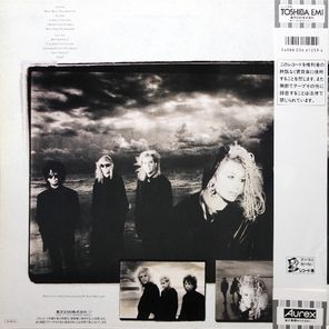Heart / Bad Animals (LP)