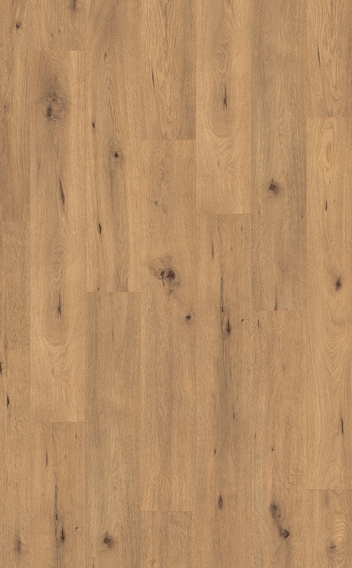 Ламинат Egger Дикий дуб натуральный