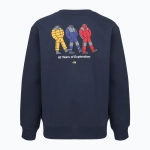 Свитшот The North Face Celebration Relaxed Crew Graphic summit navy