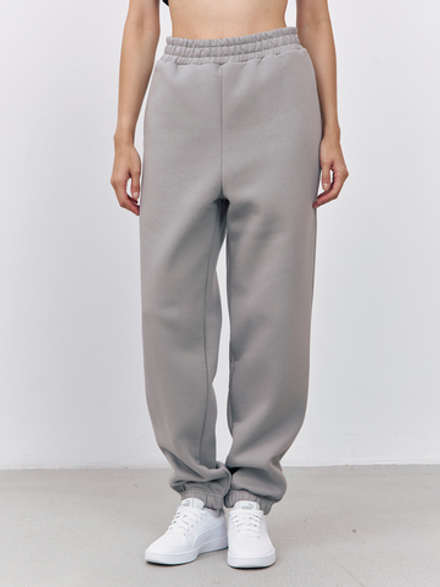 Брюки женские с начесом (серый)