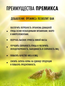 витамины для кур-несушек для повышения яйценоскости