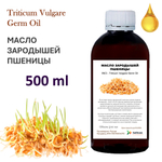 Масло зародышей пшеницы / Triticum Vulgare Germ Oil