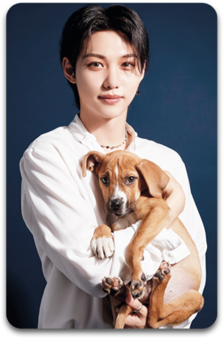 Карта / STRAY KIDS #3205