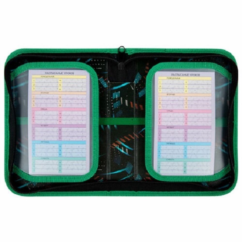 Пенал 1 отделение 210*140 Пифагор Dino roar, 2 откидные планки, ткань