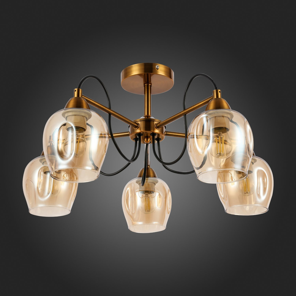 Светильник потолочный Evoluce Acro SLE110002-05