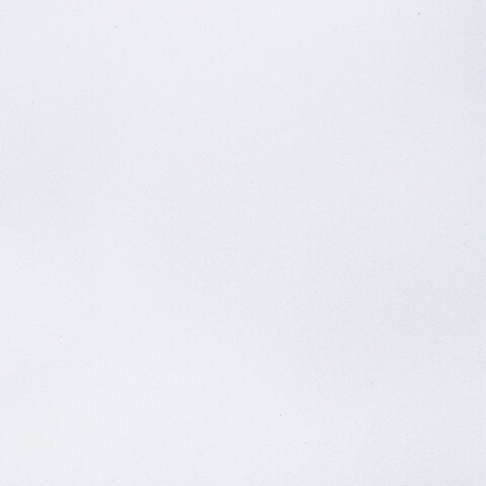 Альбом для акварели А4 24 л., бумага 180 г/м2, гребень, обложка картон, BRAUBERG KIDS, "Pets" (2 вида), 106712