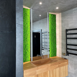 Вертикальное озеленение частного интерьера стабилизированным мхом. г.Краснодар