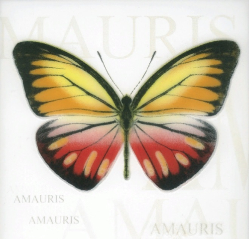 Плитка керам. Сан-ремо 3 бабочка А  200*200 мм 1,04 м2 26 шт/упак