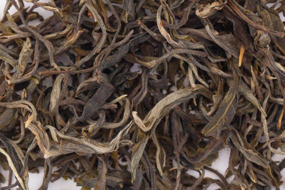 Шэн пуэр 2023 г. "Наньбэнь Лаочжай дашу" (Большие деревья из Наньбэнь Лаочжай)