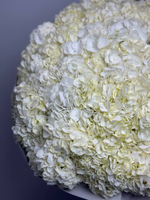 Снежная королева