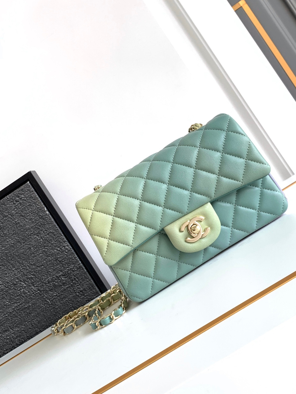 Chanel Bag 20 cm