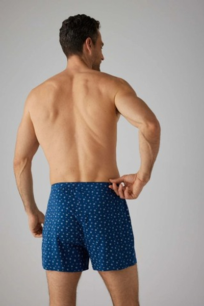 20352 Свободные боксеры YSABEL MORA