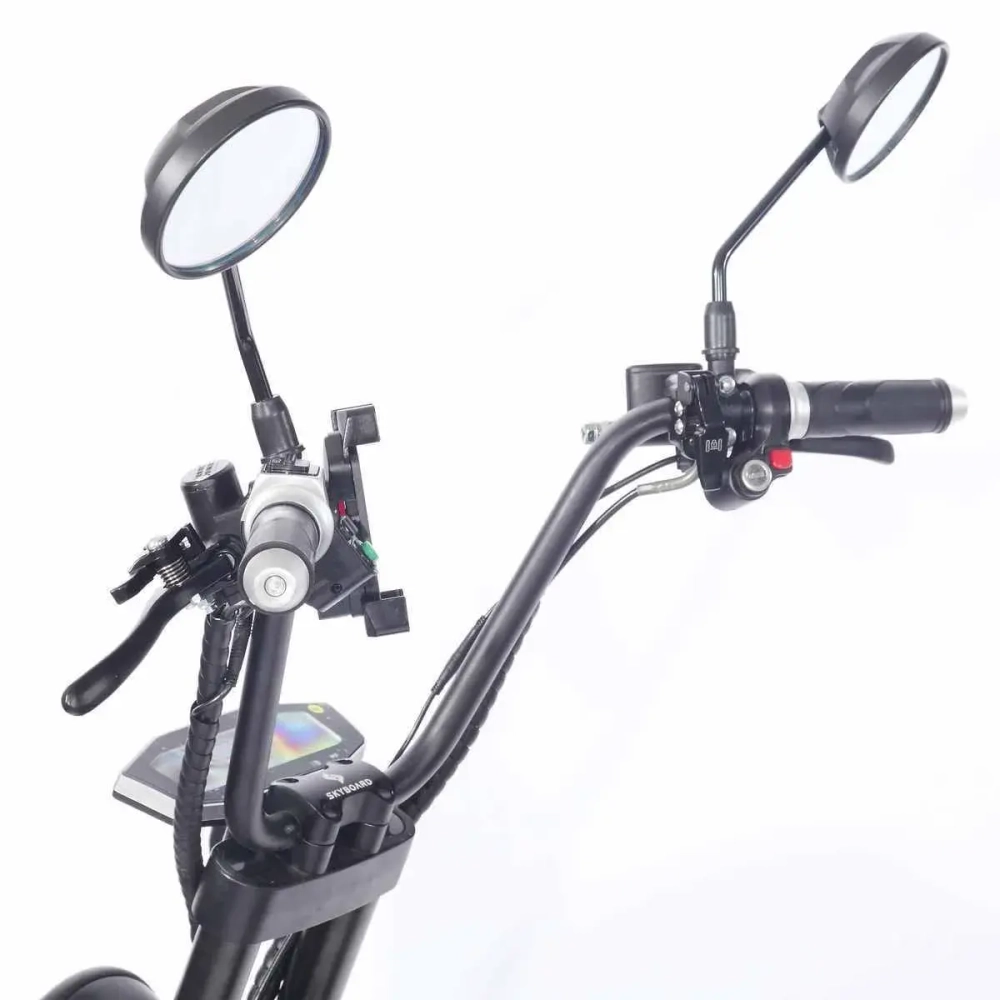 Электроскутер SKYBOARD CITYCOCO TRIKE BR80
