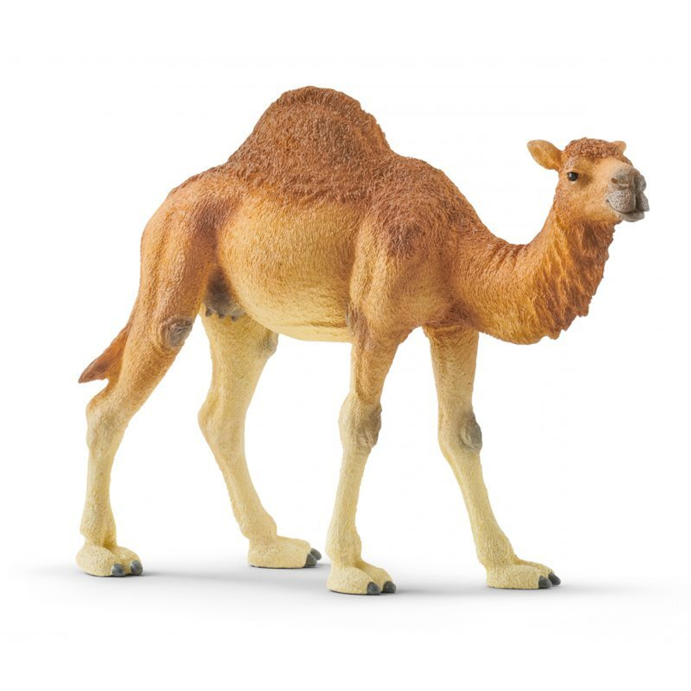 Schleich - Верблюд-дромадер 14832