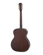 ARIA ARIA-101DP Muddy Brown