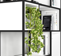стеллаж RACK&BOOKCASE
