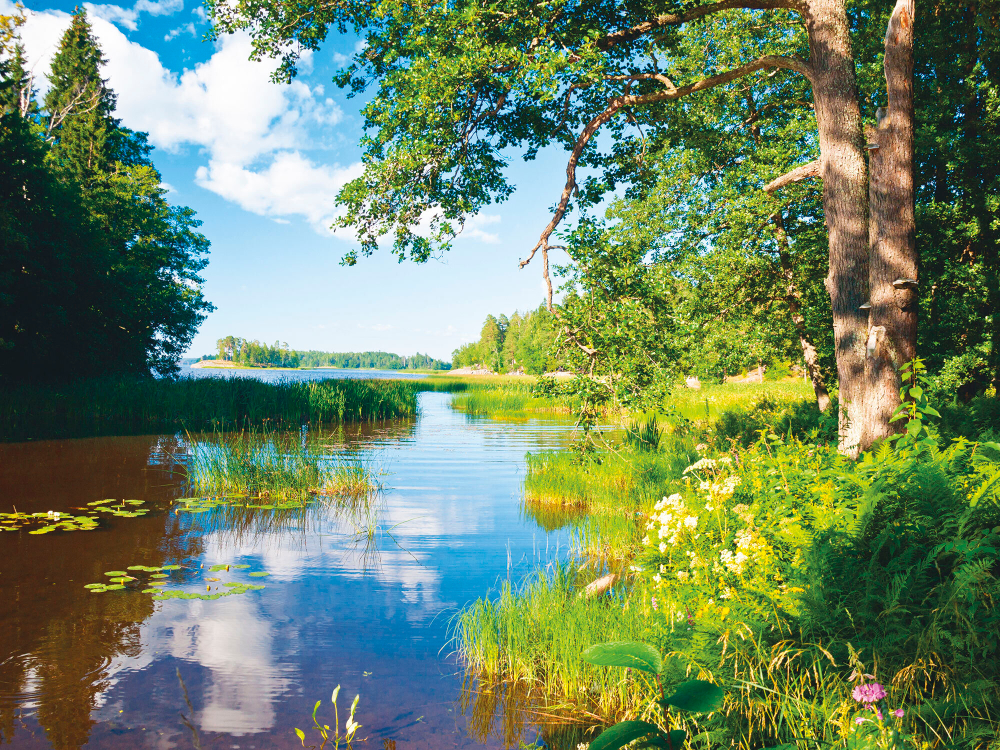 Коллекция Пейзаж