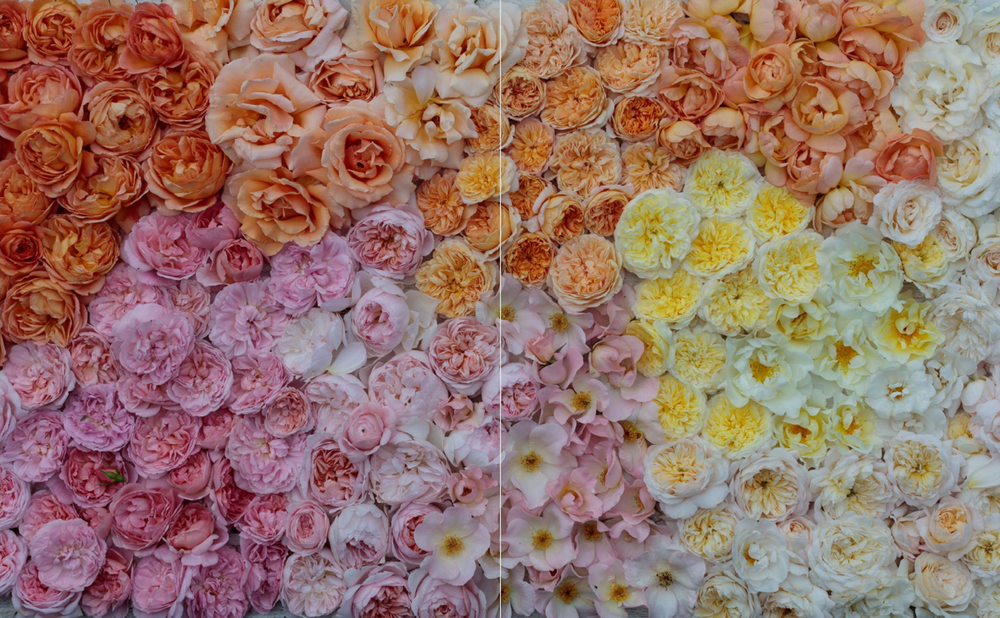 In Full Flower: Inspired Designs by Floral's New Creatives