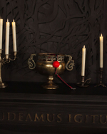 Красный силиконовый кляп-шар Scandal с черным ремешком из натуральной кожи