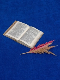 Простыня махровая гладкокрашеная