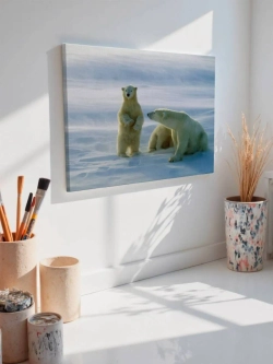 Картина на стену 40 X 50 Белый медведь