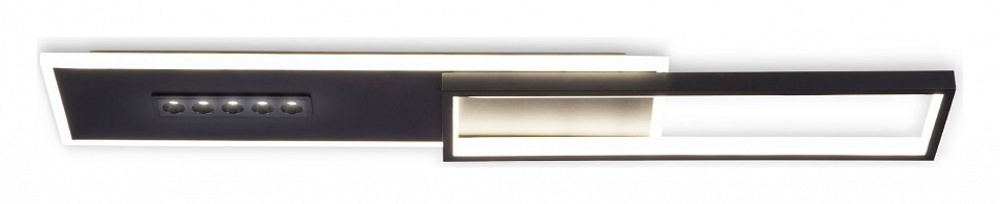 Накладной светильник Ambrella Light FL FL51454