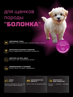 Корм для щенков Болонка, с говядиной, 800 гр, QUATTRO