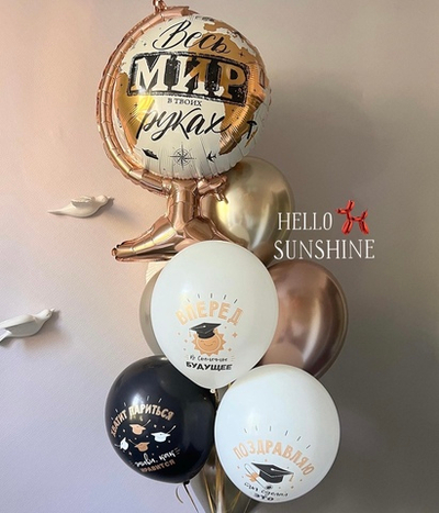Набор шаров школьнику №1