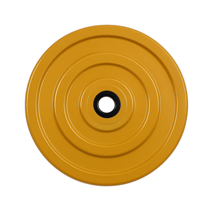 Диск для спорта GF