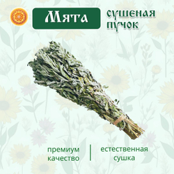 Мята дикая пучок.