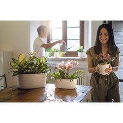 Кашпо для комнатных растений малое Tierra, молочное