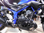 Yamaha MT-25 RG43J-005854