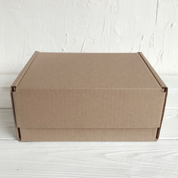 Почтовая коробка 22 х 16,5 х 10, тип Д