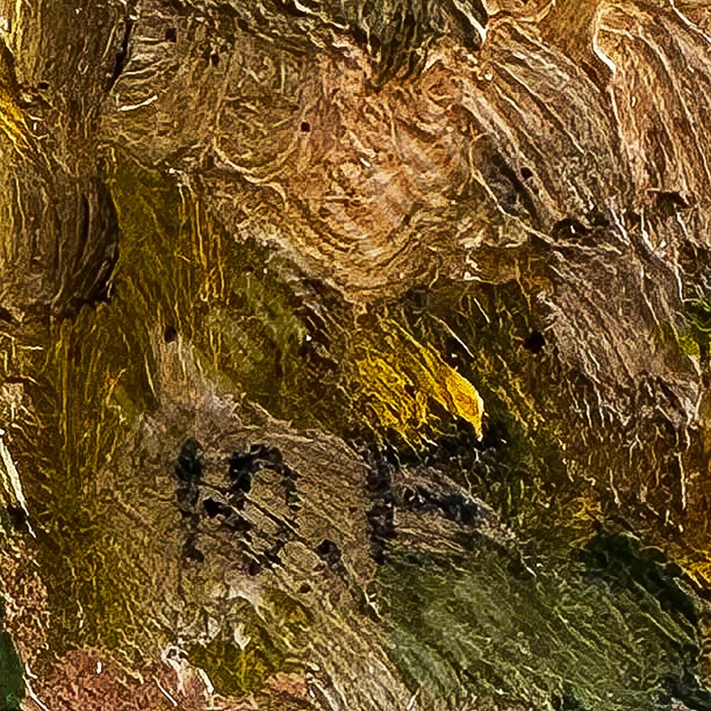 Буткевич Г. В. (1903–1974). Этюд «Лето». Масло. 1963 г.?