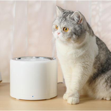 Умный питьевой фонтан для животных с системой фильтрации Eversweet PRO UVC