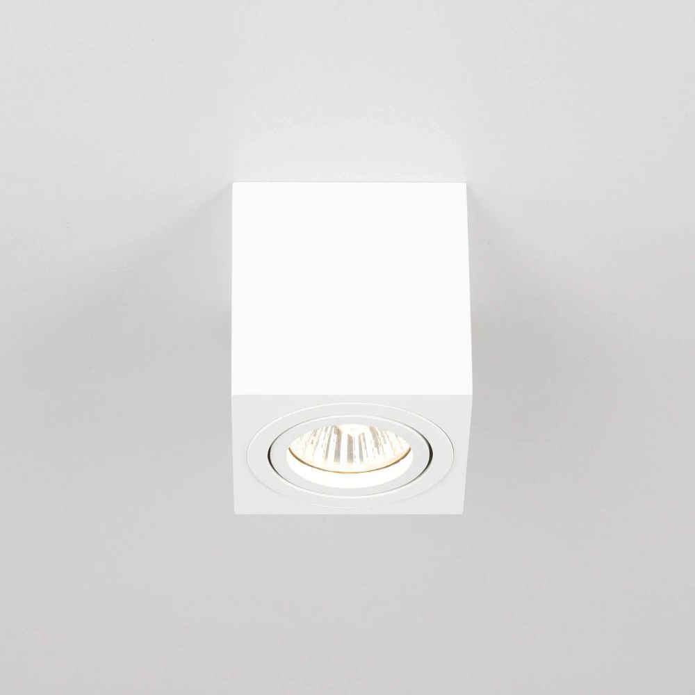 Citilux Дюрен CL538211 Светильник накладной поворотный Белый