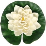 Растение водоплавающее «Кувшинка Розитта» d-20см белая