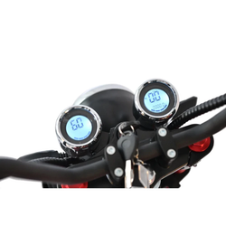 Электроскутер Citycoco WHITE SIBERIA Wild Wheel 3950W Красный