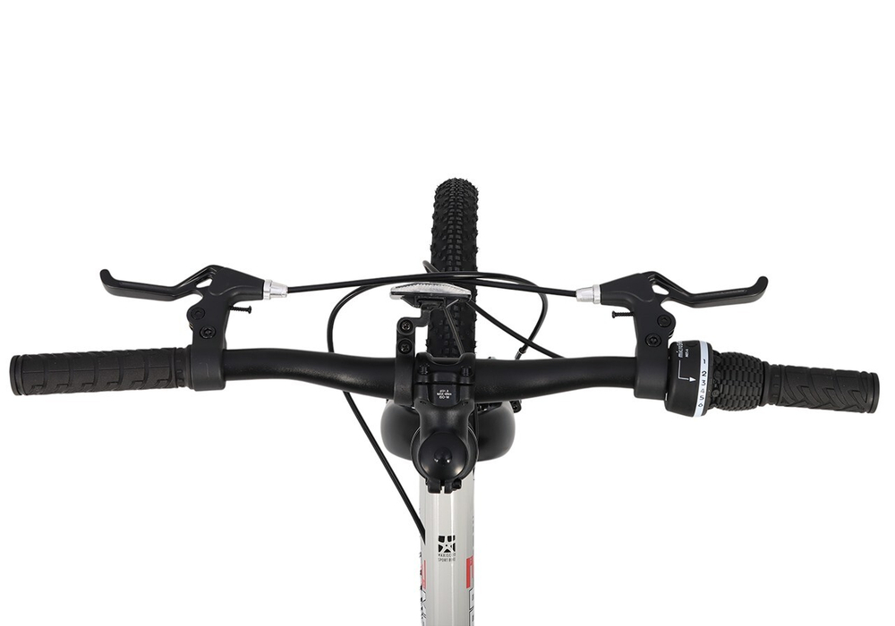 Велосипед Детский Maxiscoo 3BIKE 20'' L Серый (2025)