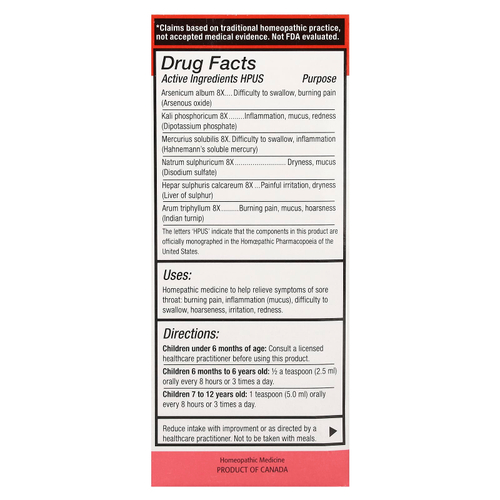 Homeolab USA, Kid's Relief®, сироп для облегчения горла, 0–12 лет, 100 мл (3,4 жидк. унц.)