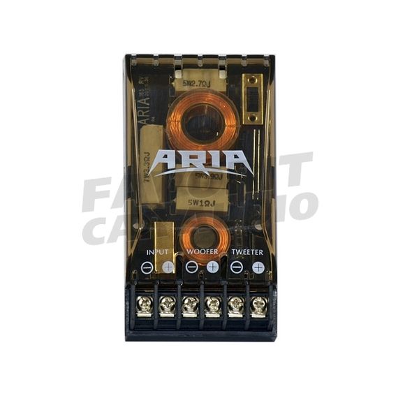 Комп. акустика ARIA AE-165.2C