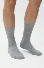 Носки мужские Н003-03 серый
