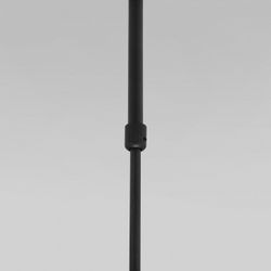 Светильник на штанге Eurosvet Pacific 50255/1 черный